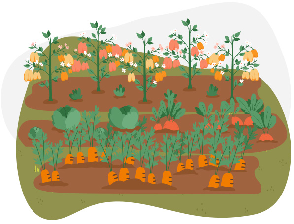 Garden ilustration with a variety of vegetables